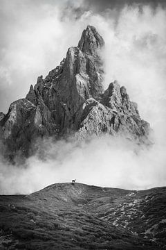 Punta Rolle am Passo Rolle, Dolomiten, Südtirol
