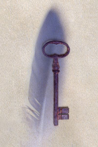 Veer en sleutel van Mart van Zwam