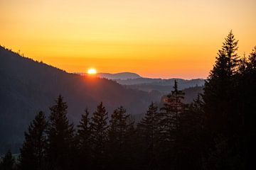 Zonsondergang met bos silhouet van Leo Schindzielorz