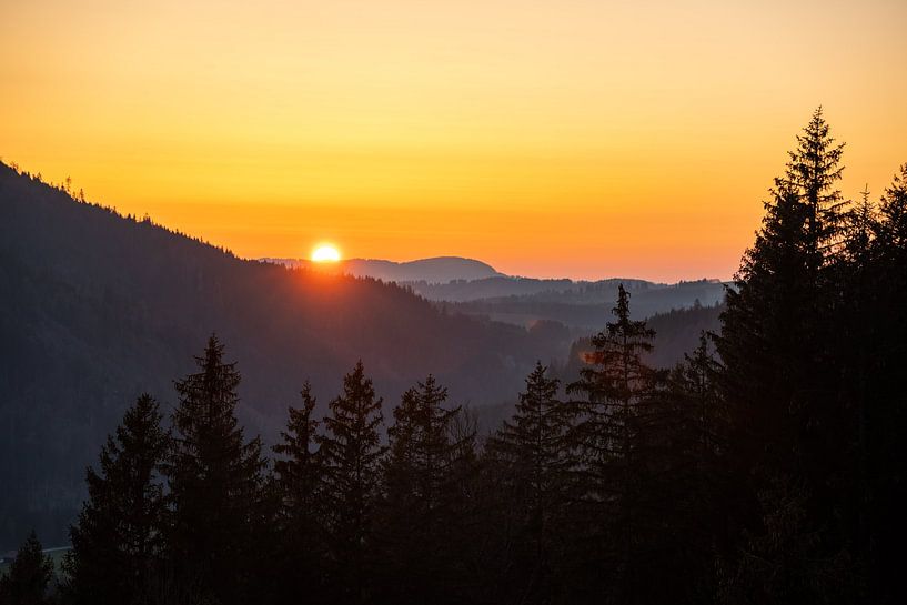 Sunset with forest silhouette by Leo Schindzielorz