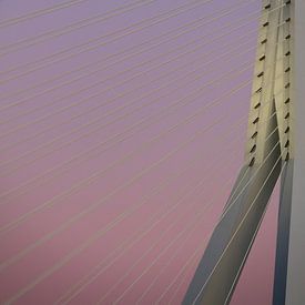 Erasmusburg Rotterdam in pink dusk by Esmée Fotografeert