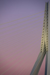 Erasmusbrug Rotterdam in roze avondschemering