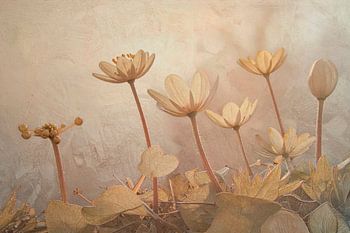 Frühling! Heiteres und verträumtes Blumenfeld in Pastelltönen