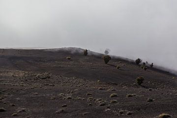 El Hierro PicoMalpaso von Fotostudio Freiraum