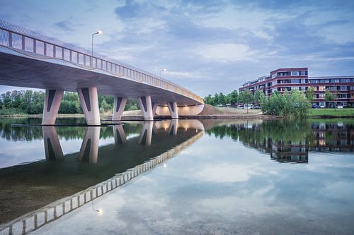 Reflection Reed Collar Bridge