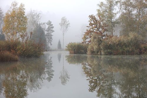eilanden in het water