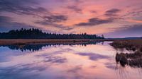 Sunset at a pond in Drenthe.