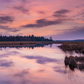 Sonnenuntergang an einem Teich in Drenthe. von Yvon van der Laan