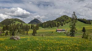 Petite maison dans les montagnes