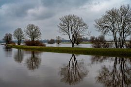 Hattem on the river IJssel. by George Kok