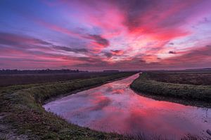 coucher de soleil rose
