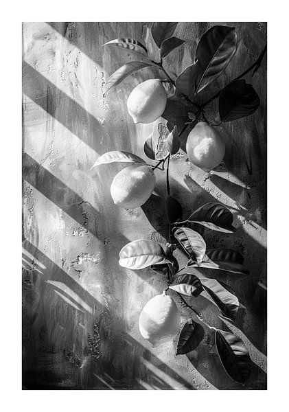 Monochromatic lemons on a grey background by Poster Art Shop