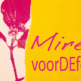 voorDEfoto profielfoto