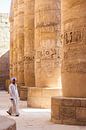 Karnak tempel complex in Luxor, Egypt by Bart van Eijden thumbnail