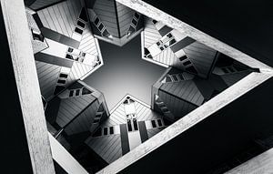 Rotterdam Star