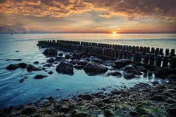 Boulevard Vlissingen van Lisette van Peenen
