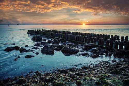 Boulevard Vlissingen sur Lisette van Peenen