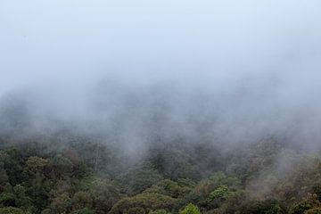 Mist trekt over de bergen by Marcel Derweduwen