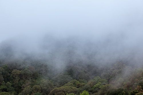 Mist trekt over de bergen