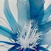 Blue XX - jeu de fleurs blanches et bleues sur Lily van Riemsdijk - Art Prints with Color