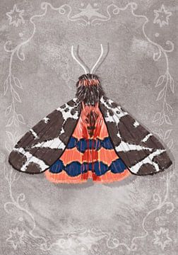 Moth 4 by Aliya Putrus