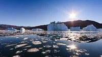 Eisberge in Røde Ø, Scoresby Sund, Grönland von Henk Meijer Photography Miniaturansicht