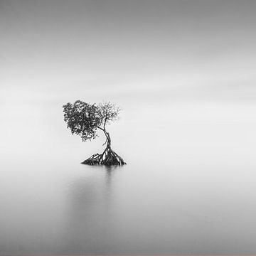 Lonely by Niels Devisscher