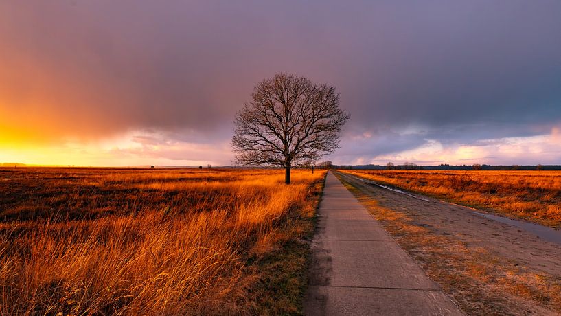 orangefarbene Welt von snippefotografie