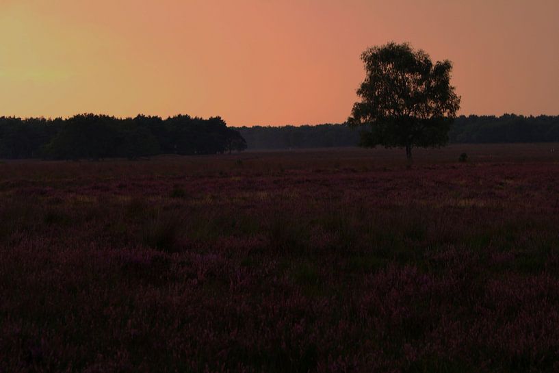 Hilversum vertäut bei Sonnenuntergang von Maaike