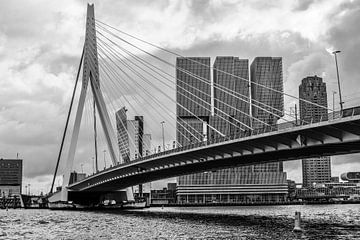 erasmus bridge rotterdam by Karin vanBijlevelt