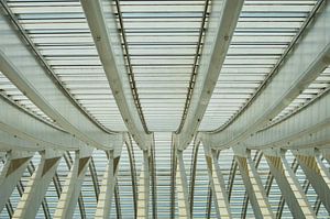 Linien auf dem Dach des Bahnhofs Lüttich-Guillemins