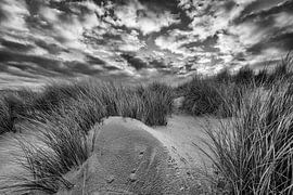 Texel I von Richard Marks