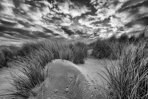 Texel I