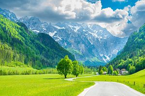 Alpengebirgslandschaft im Logar-Tal im Frühling