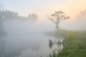 Nebliger Sonnenaufgang in der Nähe der Dutch Waterline, Wasser und Obstbäume von Ad Jekel