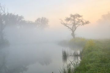 Mistige zonsopkomst bij de Hollandse Waterlinie, water en fruitbomen van Ad Jekel