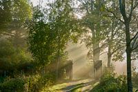 Ochtendlicht