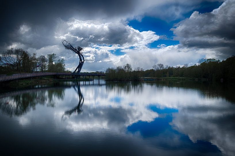 Tomorrowland bridge van Rudy De Maeyer