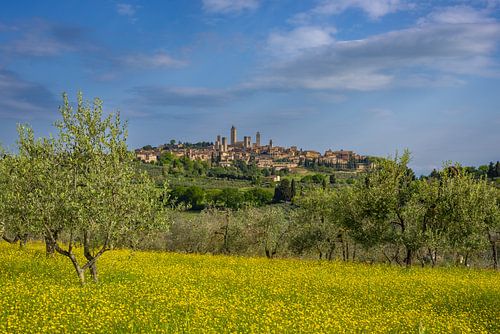 San Gimignano in spring