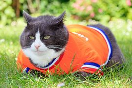 Ria van Persie in de rust sur Dennis van de Water