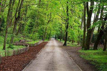 Oude spoorwegbedding in Brussel van Werner Lerooy