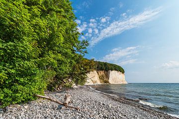 Chalk cliffs on the coast of the Baltic Sea on the island of Rügen