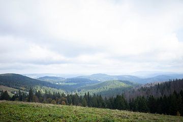 Vue du Feldberg dans la Forêt Noire