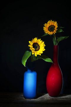 Sommer, sonniges Stilleben mit Sonnenblumen von Saskia Dingemans Awarded Photographer