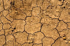 La sécheresse... sur Jarno Bonhof