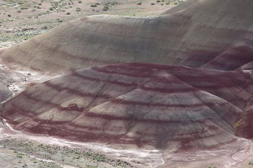 Beschilderde heuvels in het John Day Fossil Beds National Monument bij Mitchell City, Wheeler County