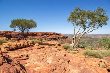 Kings Canyon - Australia by Troy Wegman