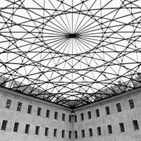 Lines