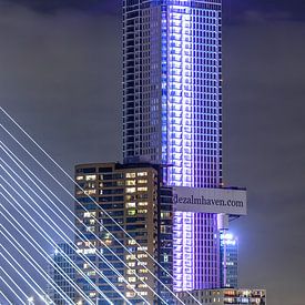 Zalmhaventoren van Peter Dane