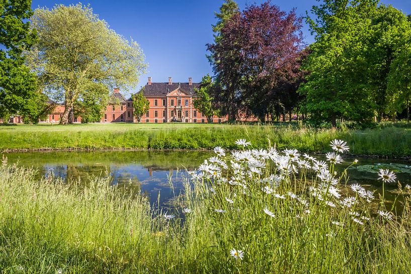 flower meadow in the park of Bothmer Castle in Klütz by Christian Müringer